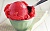 Ароматизатор пищевой Strawberry sorbet, 1 литр описание и применение