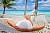 Island Breeze Odor Fragrance Oil, 1 L, photos, reviews, use