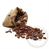 Купить Экстракт семян какао сухой, 100 гр в Украине