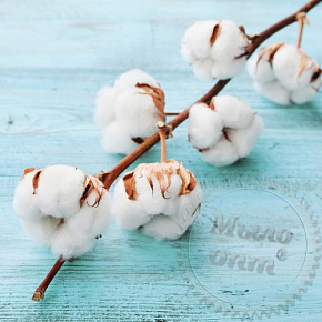 Купить Отдушка Sun Dried Cotton, 1 литр в Украине