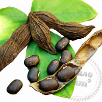 Velvet Bean Extract, 1 kg