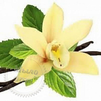 Vanilla Spark Fragrance Oil, 1 liter