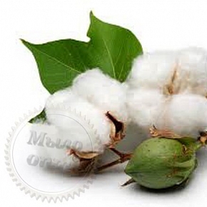 Купить Отдушка Cotton, 1 литр в Украине