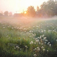 Water soluble - Morning freshness Fragrance Oil, 1 L