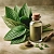 Plantain Extract Powder 5:1 1 kg, photos, reviews, use