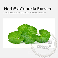 HerbEx Centella Extract, 100 мл