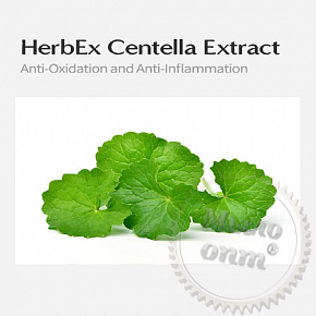 Купить HerbEx Centella Extract, 100 мл в Украине