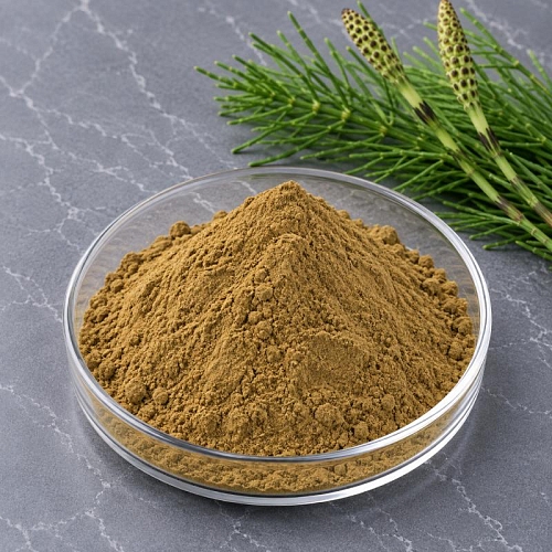 Horsetail Extract Powder 5 g Mylo Opt global supplier Horsetail Extract Powder 5 g cosmetic ingredient Mylo Opt