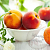 Купить Персика плоды гликолевый экстракт, 1 л в Украине