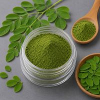 Moringa Extract Powder 10 g cosmetic ingredient Mylo Opt