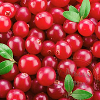 Flavor CRANBERRY 1203, 1 liter