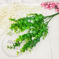 Купить Куст эвкалипта с соцветием, Белый в Украине