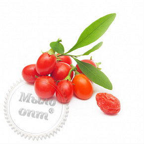 Купить Экстракт ягод Годжи, 50 мл в Украине