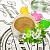 Ayurvedic powder Brahmi 1 kg, photos, reviews, use