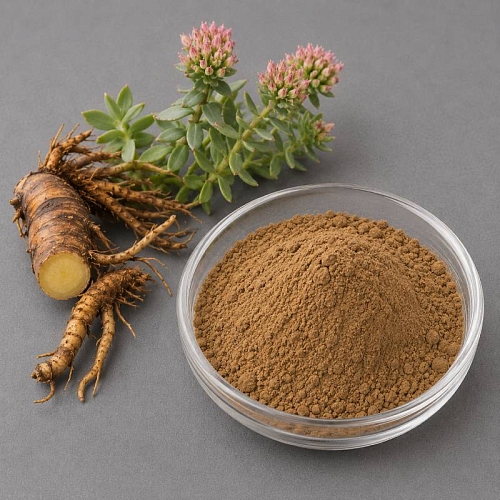 Rhodiola Extract Powder 5 g cosmetic ingredient Mylo Opt