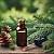 Spruce essential oil, 5 ml, photos, reviews, use