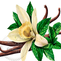 Vanilla Mint Fragrance Oil, 1 liter