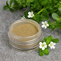 Аюрведический порошок Брахми, 1 кг описание и применение