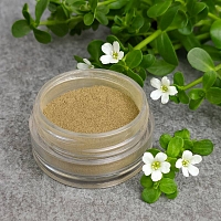 Ayurvedic powder Brahmi 1 kg