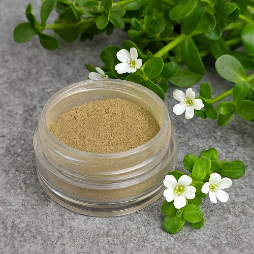 Ayurvedic powder Brahmi for health and beauty, 1 kg, 872.10 UAH, rating ⭐⭐⭐⭐⭐ Milo Opt