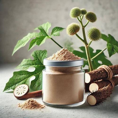 Burdock Root Extract Powder 1 kg, photos, reviews, use