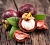 Mangosteen essential oil, 50 ml, photos, reviews, use