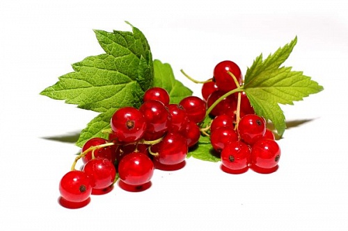 Flavor RED CURRANT 699, 1 liter, photos, reviews, use