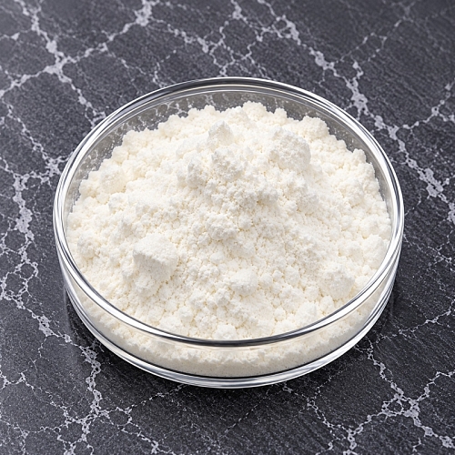 Coconut Milk Powder 1 kg cosmetic ingredient Mylo Opt