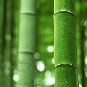 Купить Отдушка Зеленый Бамбук, 1 литр в Украине
