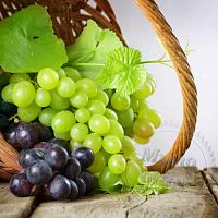 Купить Plantasens Grape Serum, 5 гр в Украине