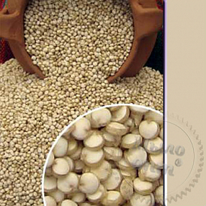 Купить Quinoa Extract, 5 мл в Украине