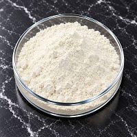 Экстракт Устрицы, 1 кг артикул VV26102607