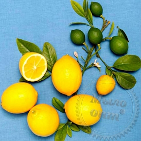Купить Отдушка Meyer Lemon, 1 литр в Украине