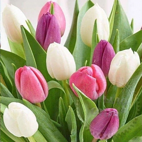 Купить Отдушка Blooming Tulips, 1 литр в Украине