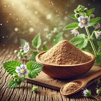 Экстракт сухой Очанки, 100 грамм описание и применение