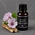 Marshmallow Extract Concentrate 1 L cosmetic ingredient Mylo Opt