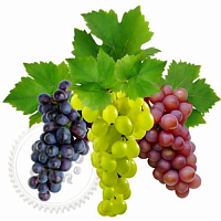 Fragrance Oil Grapes, 1 liter