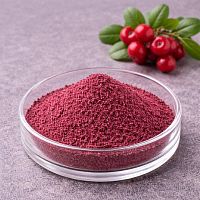 Порошок брусники, 500 гр артикул VV17030235