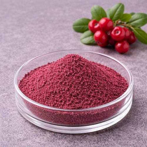 Lingonberry powder 500 g Mylo Opt global supplier Lingonberry powder 500 g cosmetic ingredient Mylo Opt