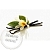 Flavor VANILLA 762/05 1 L cosmetic ingredient Mylo Opt