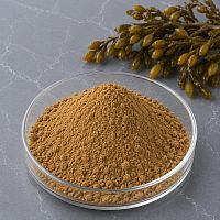 Ascophyllum Seaweed Extract Powder 50 g cosmetic ingredient Mylo Opt