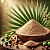 Saw Palmetto Extract Powder 100 g, photos, reviews, use
