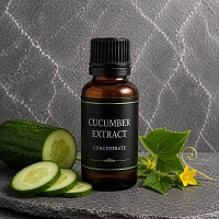 Экстракт Огурца, 1 л артикул 900174