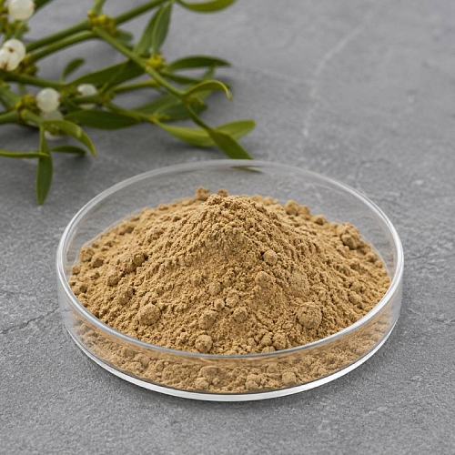 Mistletoe Extract Powder 100 g cosmetic ingredient Mylo Opt