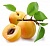 Fragrance Oil Apricot, 10 ml, photos, reviews, use