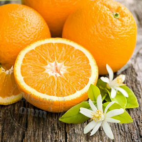 Купить Отдушка Цветок апельсина/ Orange Flower, Англия, 1 литр в Украине