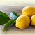 Fragrance Oil Lemon Leaf, 1 liter, photos, reviews, use