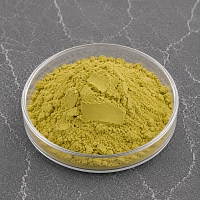 Artichoke Extract Powder 10 g cosmetic ingredient Mylo Opt
