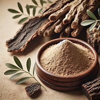 Экстракт коры черной ивы, 1 л описание и применение
