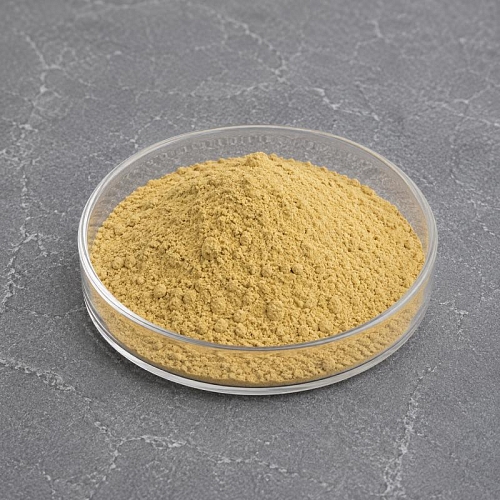 Vitex Extract Powder 1 kg Mylo Opt global supplier Vitex Extract Powder 1 kg cosmetic ingredient Mylo Opt
